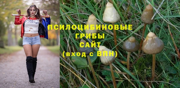 спайс Верея