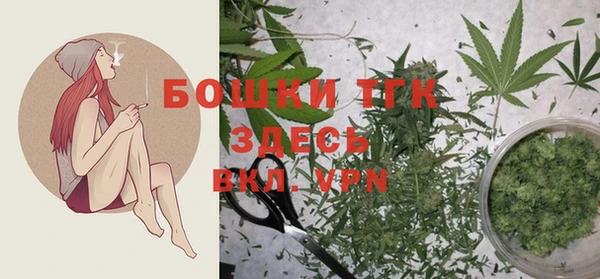 спайс Верея