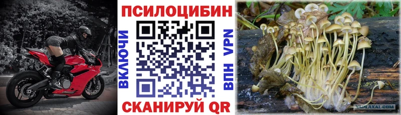 Купить где  Гусь-Хрустальный  Галлюциногенные грибы ЛСД 